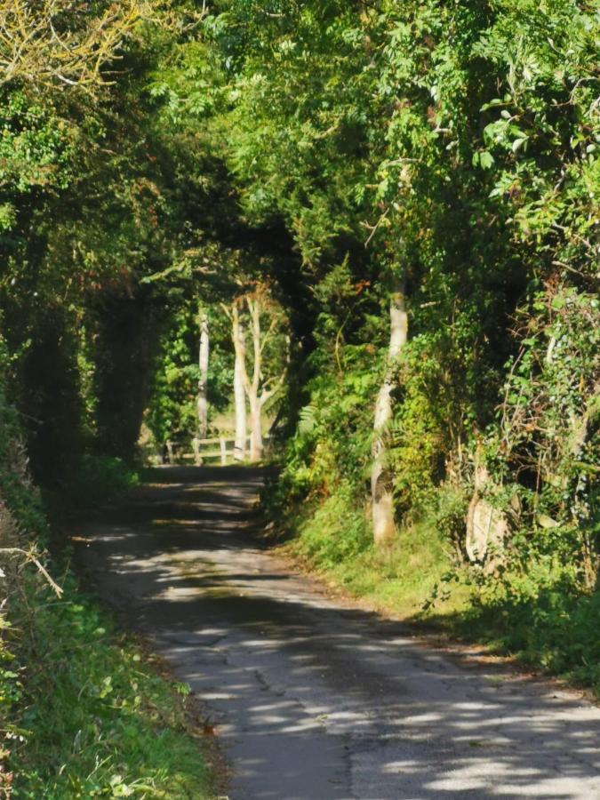Grosmont Cottage, Ruswarp Whitby Ngoại thất bức ảnh